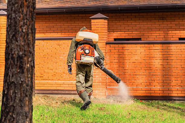 Trusted Rodent Control service in Merrydale, LA - Nex Pest Control